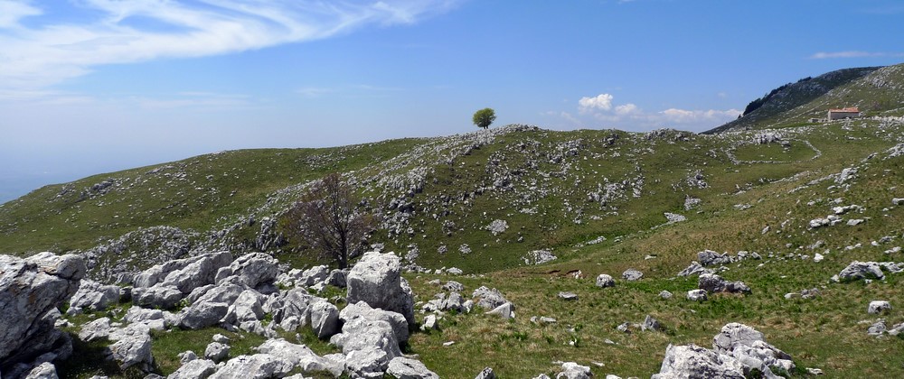 Cansiglio: M. Pizzoc