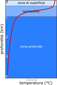 relazione temperatura - profondità