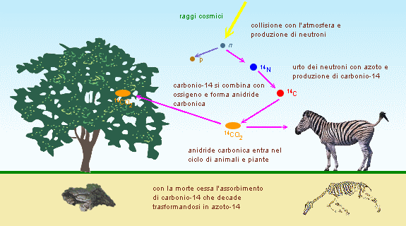 datazione