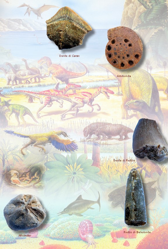Mesozoico