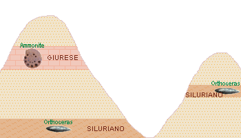 criterio paleontologico