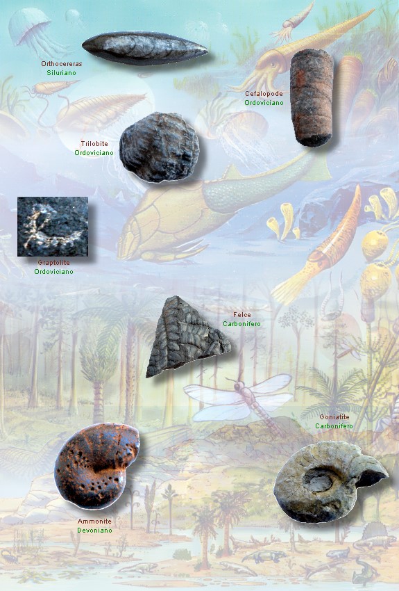 Paleozoico