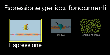 espressione genica