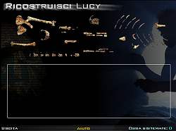 Lucy