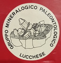 GMP LUCCA