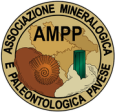 AMPP