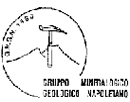 Gruppo mineralogico geologico napoletano