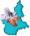 mineralweb