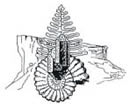 società reggiana