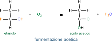 fermentazione acetica