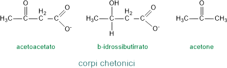 corpi chetonici