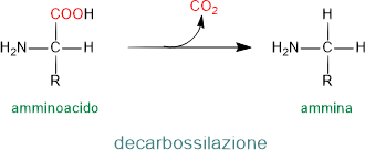 decarbossilazione