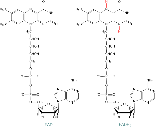 formula del fad