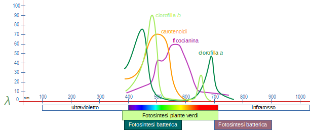 schema delle lunghezze d'onda