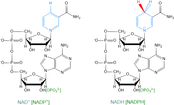 Formula del NAD