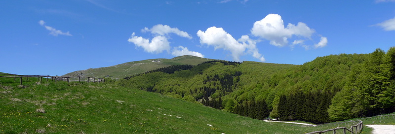 Malga Coro in Cansiglio