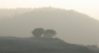 nebbia