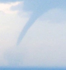 tromba marina