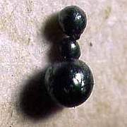clicca qui