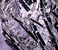 actinolite