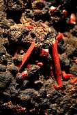 crocoite
