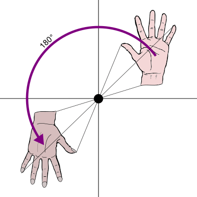 inversione della mano