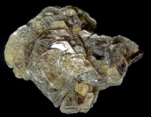 muscovite