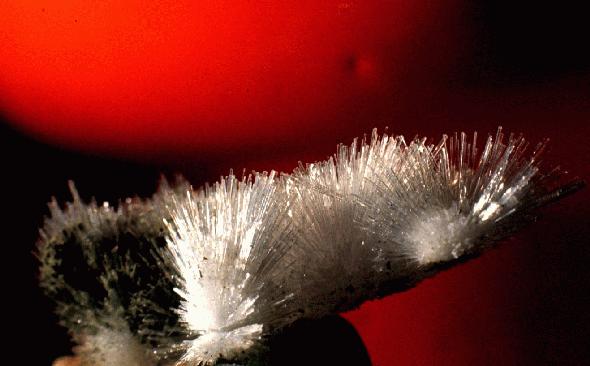 natrolite