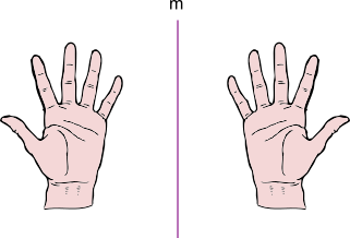 riflessione delle mani
