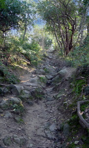 Sentiero verso il Monte Trevisan sentiero