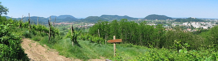 Panorama dei Colli panorama