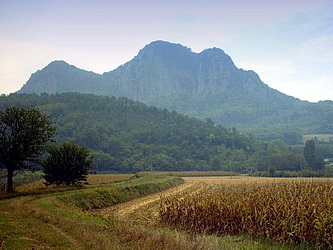 Argine verso Case Zuccato argine