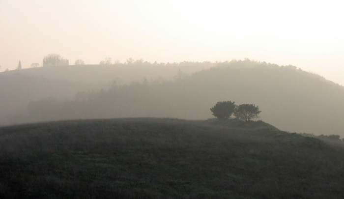 vegro in autunno vegro in autunno