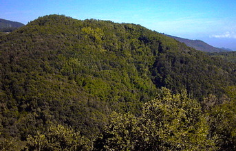 Monte Orbieso Orbieso