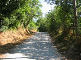 via Moschine strada