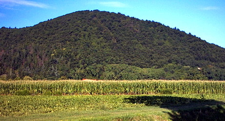 M. delle Are