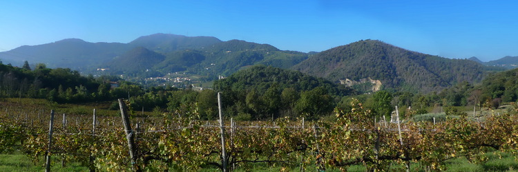 panorama