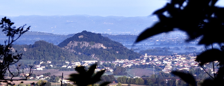 M. Merlo