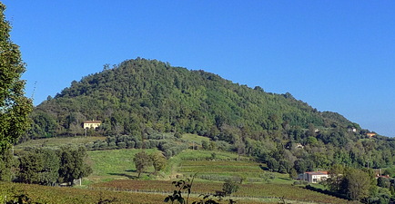 M. Lonzina