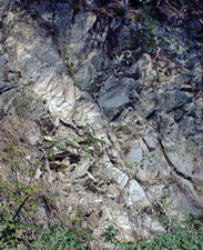 trachite alcalina
