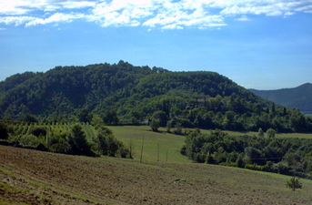 M. Sengiari