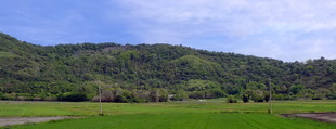 Monte Nuovo M. Nuovo