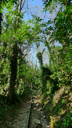 condotta