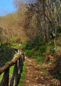 via crucis