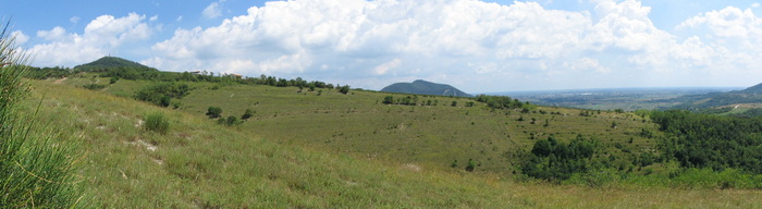 vegro