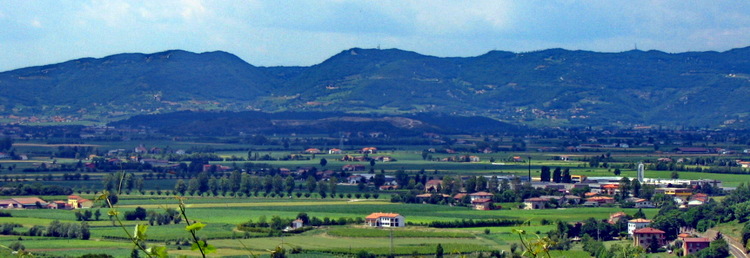 Albettone