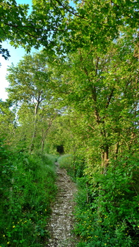 percorso