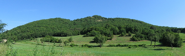 Monte Spinefrasse m. Spinefrasse