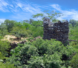 torre