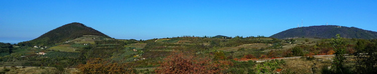 colli